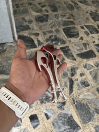 نواعم • بغداد العبيدي