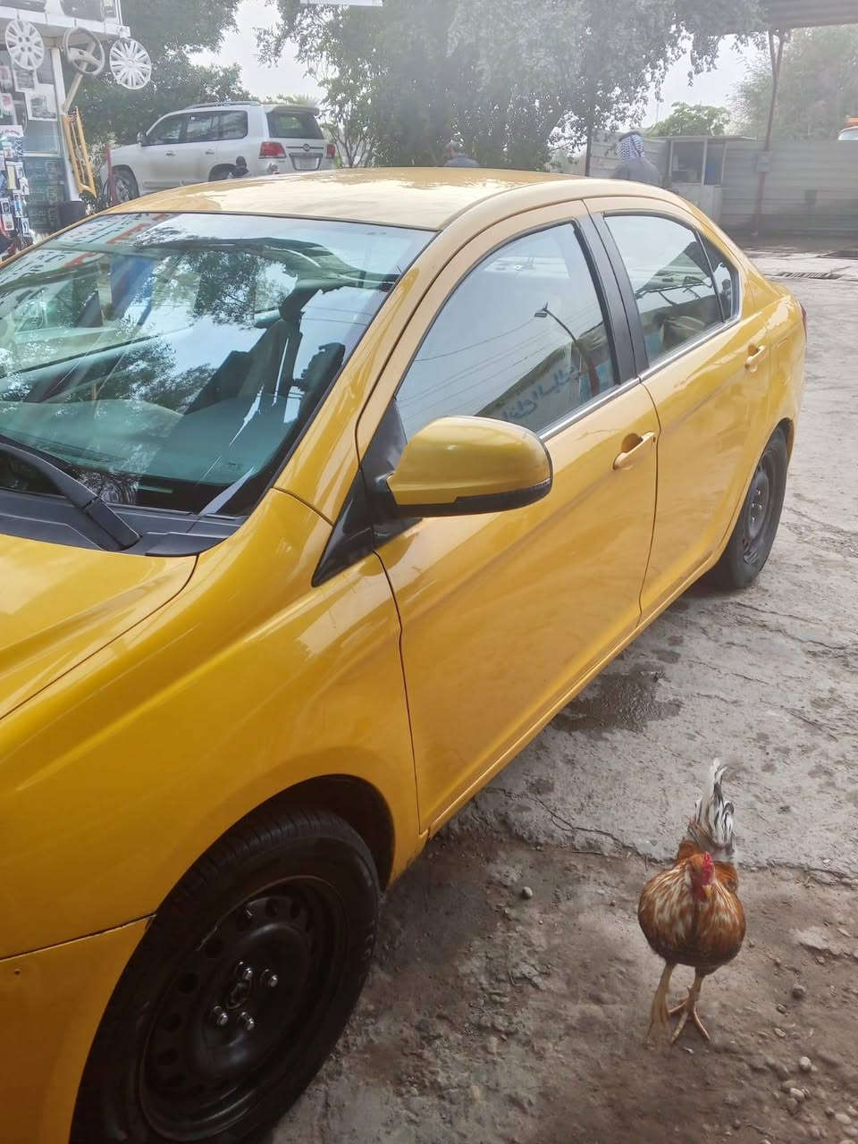 سلام عليكم كرايت ويل فولكس موديل 2016 رقم كربلاء السيارة مكفولة ماعدا بيها طخه اقل الشبر عل بارد حدادية جديدة كلج جديد السيارة خير من الله العنوان بغداد الشعلة السعر 60 ورقه أو بيها مجال إذا اكو مراوس اوتماتيك حسب القناعه***********
