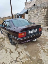 فيكترا • مصبوغه • موصل حي بكر