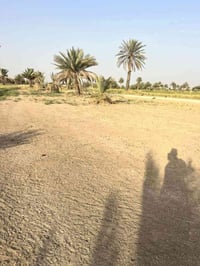 ارض للبيع • ٥٠٠م • خلف جامعه بابل