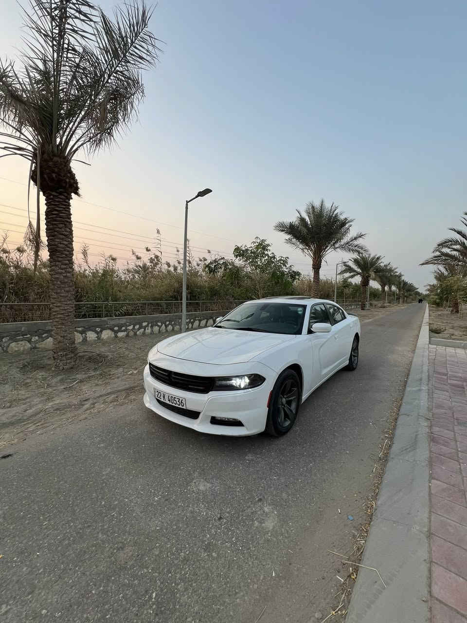 للبيع‼️

دوج جارجر خليجي 2017 SXT PLUS فول مواصفات 

السيارة جديده جداً مصروف عليه 
منظومة احتراق جديدة جداً من الفيتبم الى البلك والبخاخ❗️
حدادية جديدة بالجيس امامية خلفية ❗️

المواصفات:❗️

1- بانوراما 
2- خزن مقاعد 
3- تدفئة تبريد للمقاعد 
4- تدفئة تبريد للستيرن 
5- شاشة كبيرة اكبر حجم 
6- علية زنون عابر للقارات اذا شافك المرور بعد متطلع اله بقرار جمهوري 

حادث السيارة بالعراق وبسيط جداً بدون ايرباك 
1-بيبان اثنين ايسر تعديل بارد وما مبينات شغل فنان 
2-بيبان اثنين ايمن تبديل مال شركة طبق الاصل بدون صبغ 
3- تعديل بارد بالبنيد 

وبيه سونار فحص❗️

هاتف***********
  *********** واتساب

مكان السيارة :النجف الاشرف ❗️
