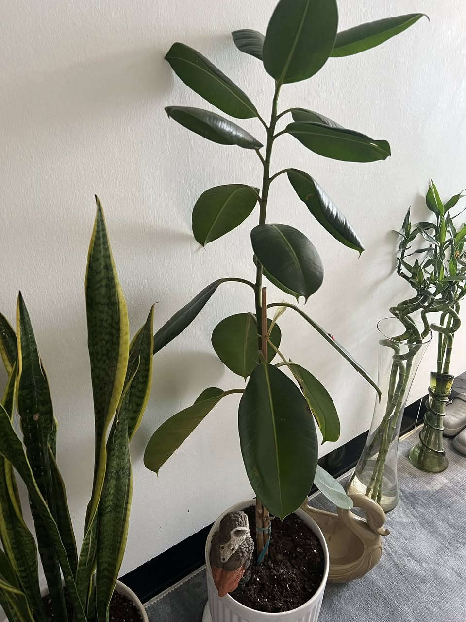 غراض للبيع نظيفات


**إذا كنت صاحب هذا الإعلان وتريد حذفه لأي سبب، رجاءا أرسل رسالة إلى الدعم الفني**