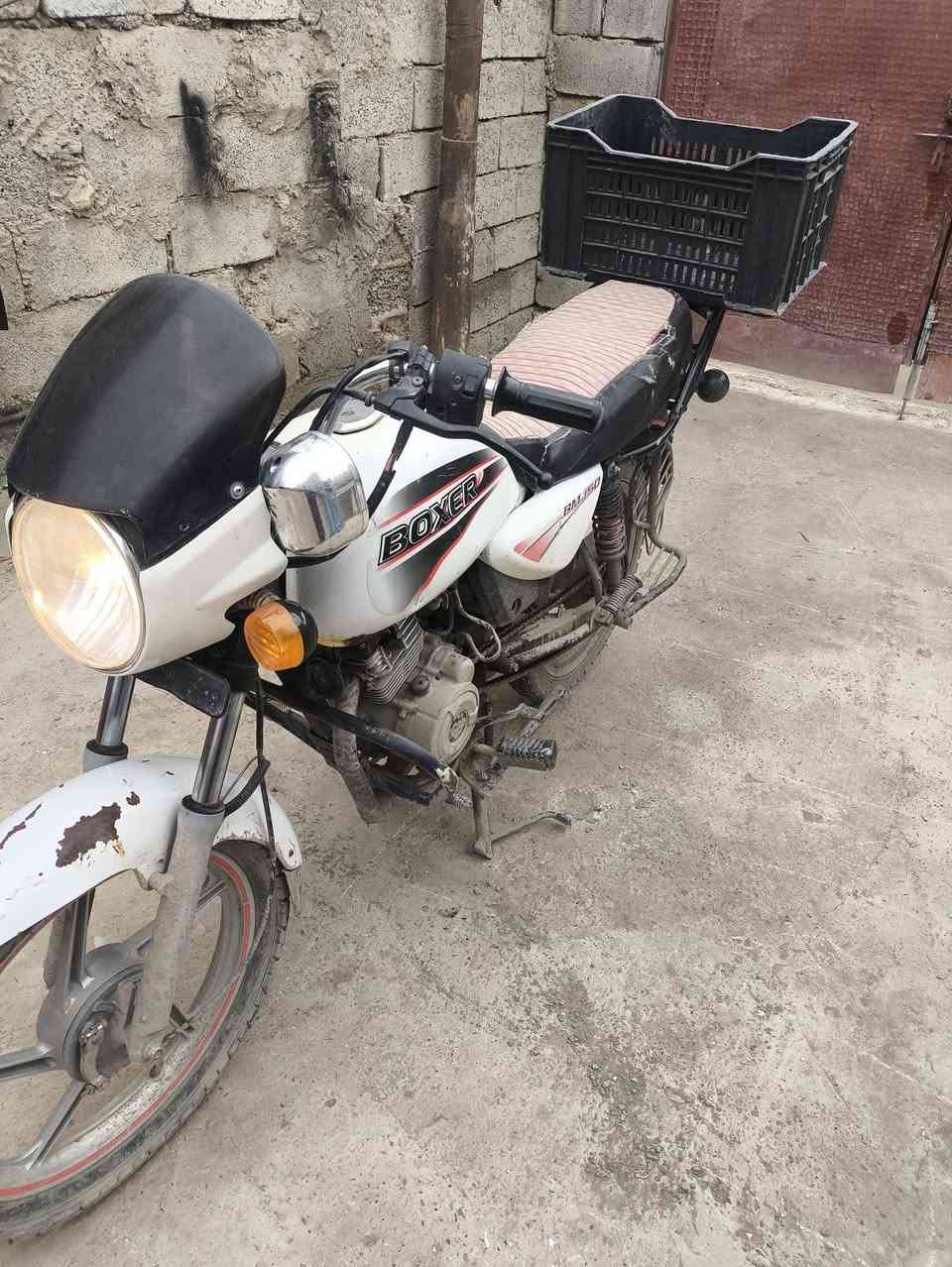 دراجة بوكسر للبيع 2019 اوراق كامل السعر 600 وبيها مجال ***********
