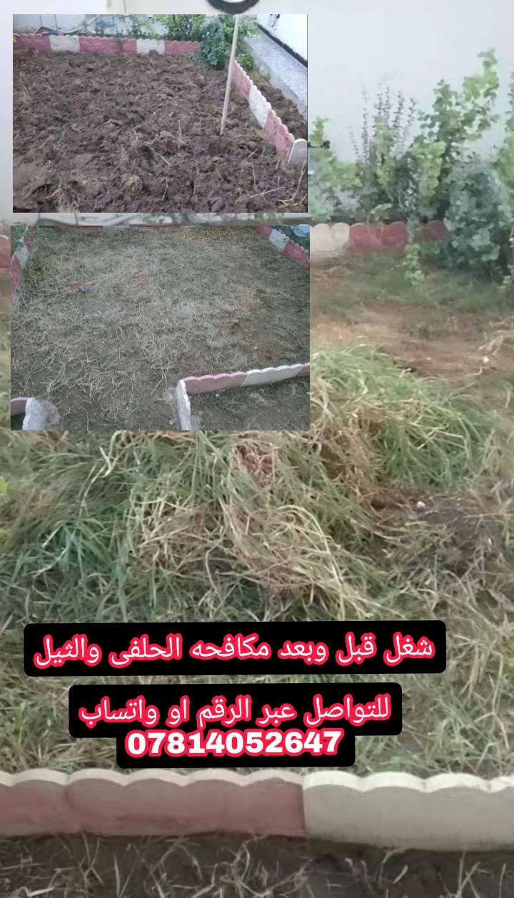 قبل وبعد 

🔴على بركة الله تجهيز حديقة بانواع الشتلات والثيل 
ومعالجه التربة المالحه وازالة القصب البردي 
معالجة التربة بصورة صحيحه كذلك تسميدها ورشها بالمبيدات 
 للتواصل عبر الواتس ***********
او الاتصال على الخط 
نعمل بخدمتكم ❤️
