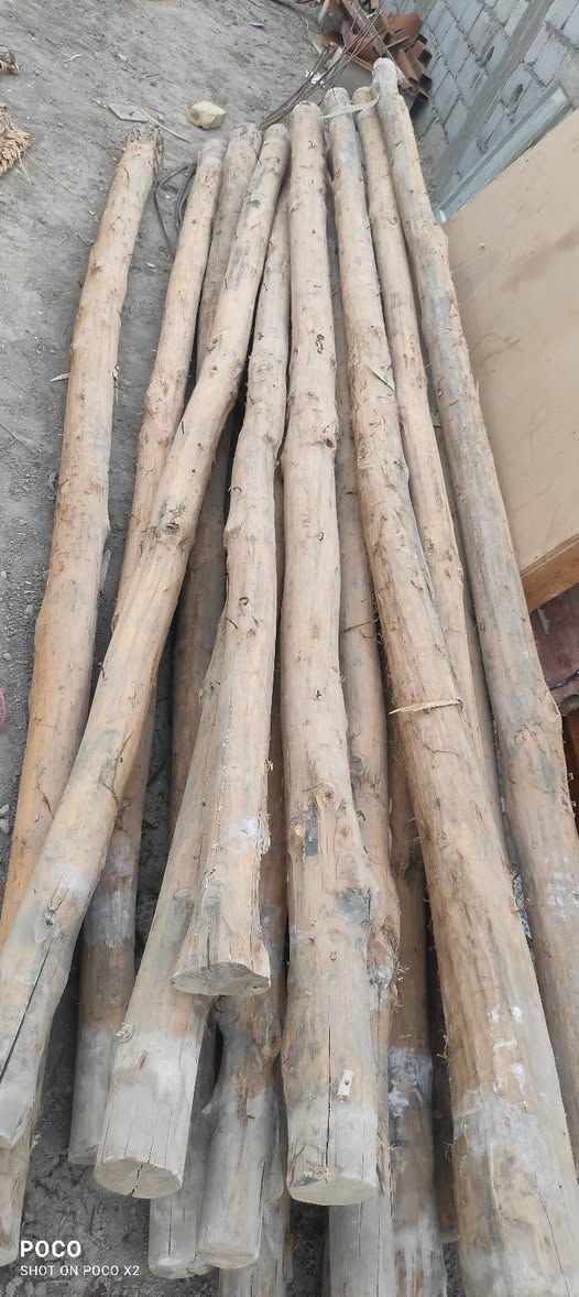 للبيع كلمن وسعره باريه عدد 15 شيش عدد 8 طويل ماكصوص منه  خشب جندل طول 5متر وعرض تقريبا فوك الشبر قوي مال سكف


**إذا كنت صاحب هذا الإعلان وتريد حذفه لأي سبب، رجاءا أرسل رسالة إلى الدعم الفني**