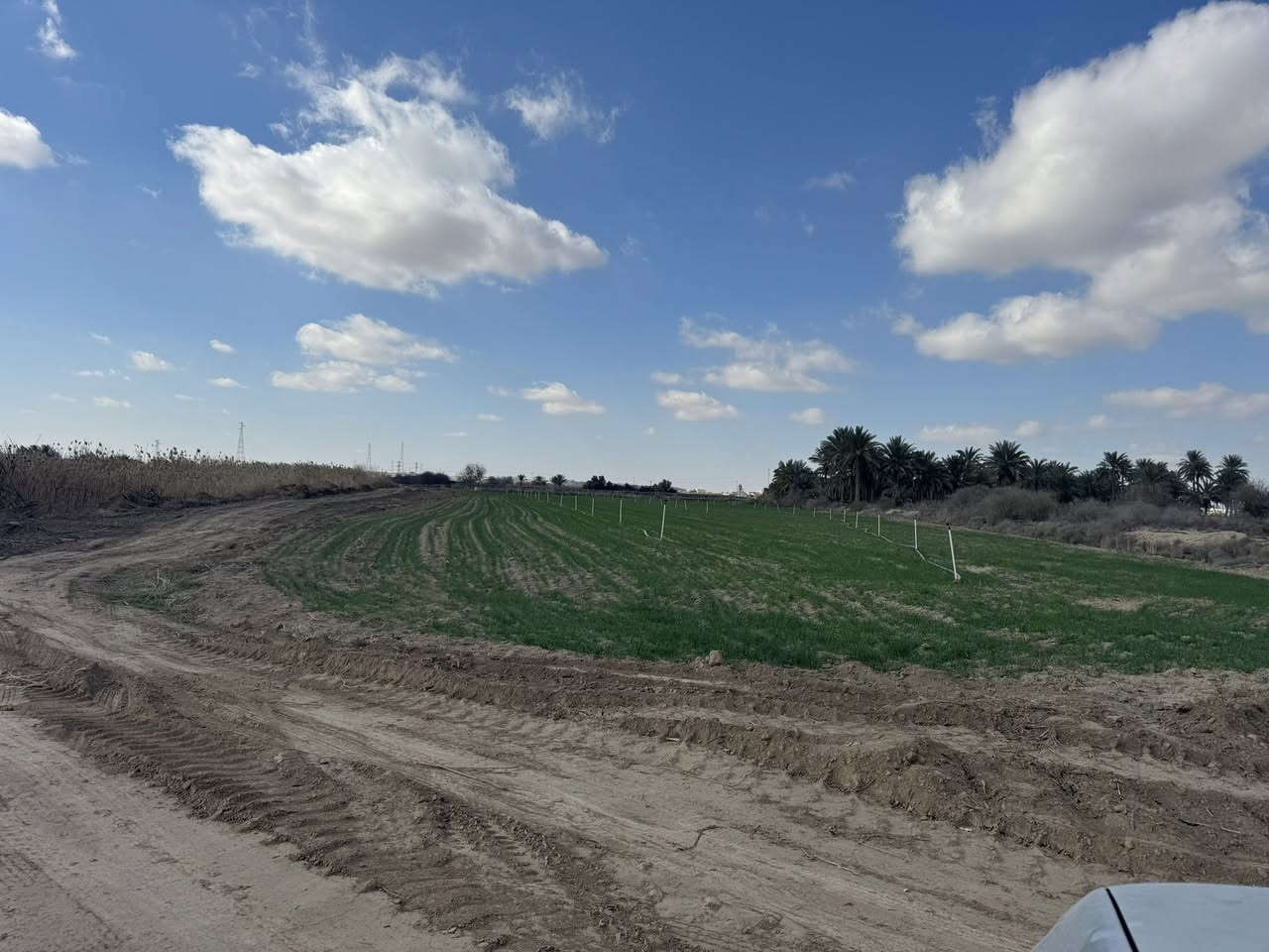 يوجد خمس دوانم طابو زراعي للبيع في العلم الحاوي متوفر جميع الخدمات للاستفسار
***********
