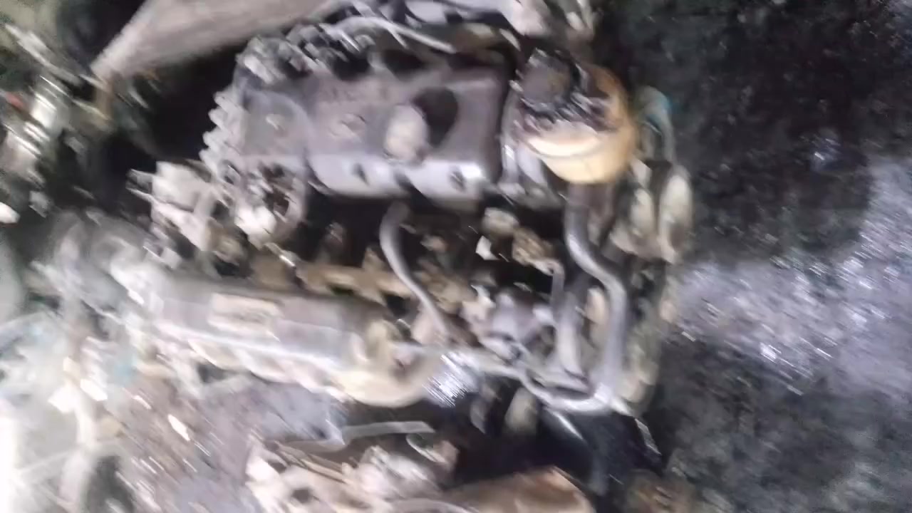 عروض على مواتير بيان جمركي حره والقيار عادي اوتوماتيك مسكره 
ماتور كيا تو دبل او ون او سبكترا راكب جاهز 250 🔥
ماتور كيا تو ستقل او كيا ون سنقل راكب جاهز 230 🔥
ماتور هونداي افانتا راكب جاهز 250 🔥
ماتور هونداي اكسنت راكب جاهز 250 🔥

قير كيا تو او ون وسبكترا اوتوماتيك راكب جاهز 170 🔥
قير اكسنت او افانتا اوتوماتيك راكب جاهز 170 🔥
قير عادي كيا تو او ون وسكبترا راكب جاهز 130 🔥
قير اكسنت او افانتا راكب جاهز 130 🔥

ويوجد لدينا جميع انواع القطع بودي وميكانيك داخل المحل مع خدمه توصيل لجميع المحافظات واسعار رمزيه

العنوان القويسمة وللتواصل 0786863388


**إذا كنت صاحب هذا الإعلان وتريد حذفه لأي سبب، رجاءا أرسل رسالة إلى الدعم الفني**