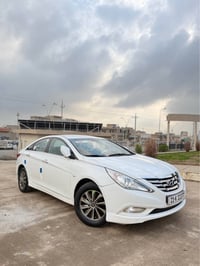 ٢٠١٠ • كشنات جلد • حساس خلفي