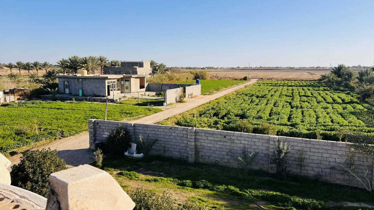 السلام عليكم
3دوانم  طابو زراعي للبيع  مع بيتين
الموقع الشاخه الاولى خلف حي العمال والبستنه.      متوفر  كهرباء ومياه سقي   +  ماء رساله صيف شتاء
 ومزروعه.  خط مولد من حي العمال   طريق جيد جداً
الاستفسار  الاتصال على الرقم ***********
غير متواجد على النت
