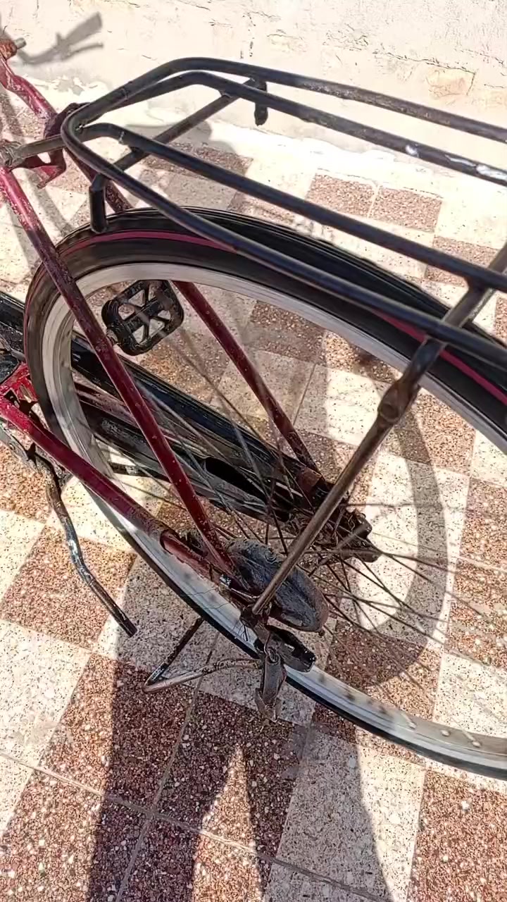 للبيع ما عوزله شي. جاملقاته وياه حجم 26 بايسكل ابلاد مو تجاري


**إذا كنت صاحب هذا الإعلان وتريد حذفه لأي سبب، رجاءا أرسل رسالة إلى الدعم الفني**