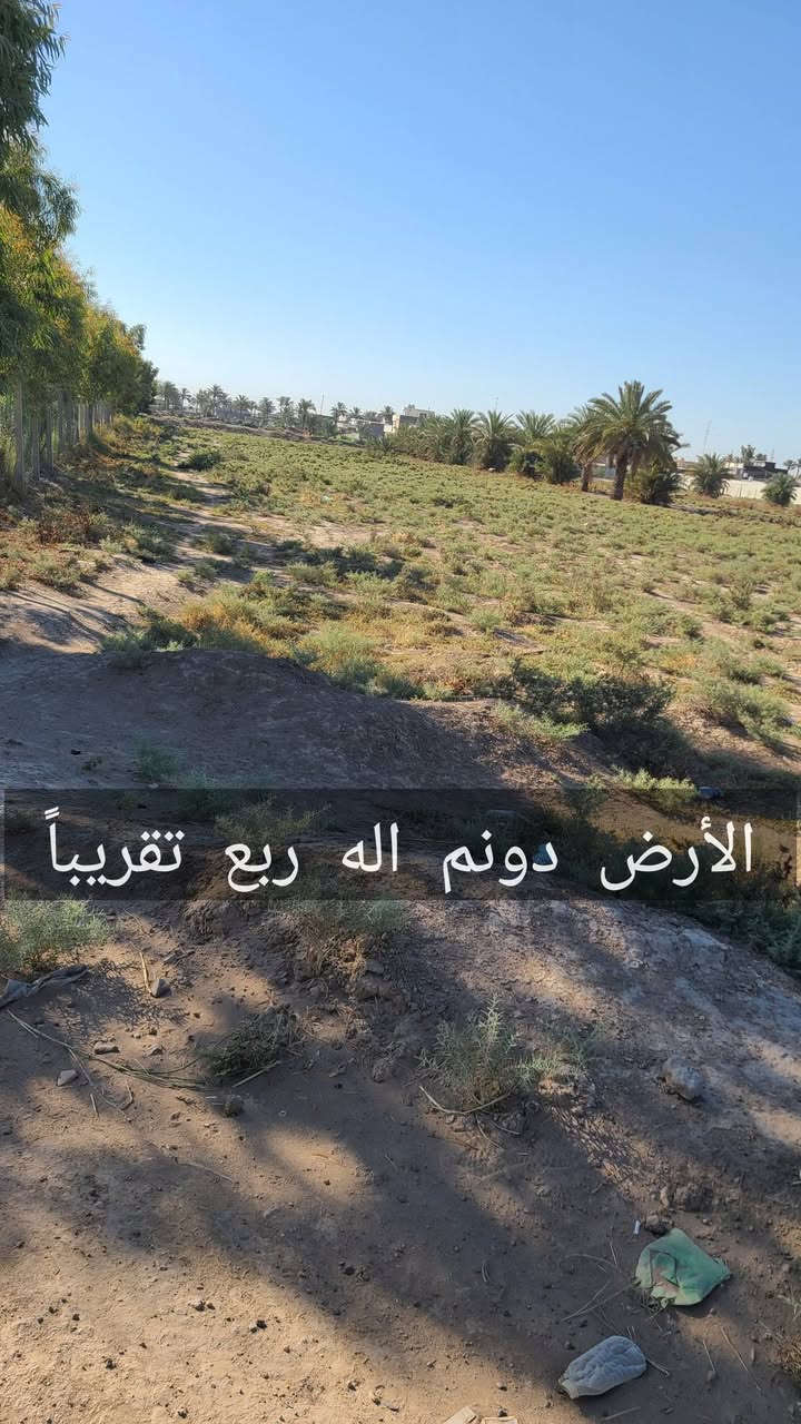 أرض للبيع دونم آله ربع الشيحة الثانية بالقرب من سريع ابوغريب بغداد
الأرض عقد زراعي غير طابو 
الأرض مكفولة تمامآ من صاحب الأرض والعقد وحالك حال الي اشتروا 
واجهة الأرض 31 متراً
الأرض عليها شارعين رئيسين كما موضح في الصور
الارض قريبة من الجسر العام والسريع كما موضح في الصور
الأرض لليوجد عليها اي مشاكل وتكاتب رسمياً
يوجد على الأرض خط كهرباء وماء
الأرض ملاصقة لمزرعة عائلية كما موضح في الصور
الأرض قابلة لمزرعة عائلية 
الأرض قابلة للسكن 
الأرض قابلة لجملونات او مخازن
الأرض غير قابل للشايليهات والتأجير 

الأرض امنة جداً جداً وقربها منطقة سكنية هادئة

سعر الأرض 55 مليون فقط ومقفولة

الموقع 📍/ ابوغريب بغداد خط السريع الشيحة الثانية قرب معمل حليب بلادي

للاستفسار واتساب فقط ( *********** )

.
