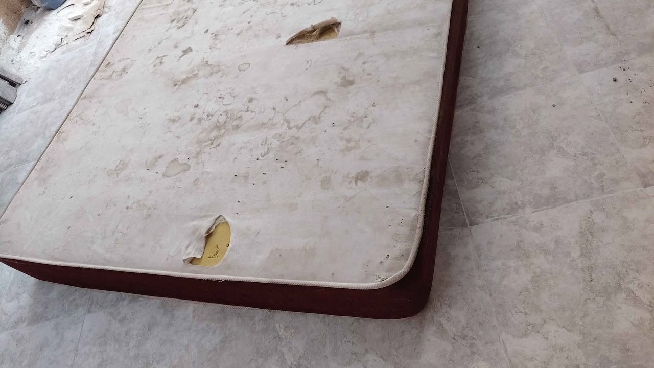 نجف حي النصر
دوشك سفنج قوي كلش يرادله بس جرجف السعر ثابت ماخذي ب200ونبيع ب60 النجف, العراق


**إذا كنت صاحب هذا الإعلان وتريد حذفه لأي سبب، رجاءا أرسل رسالة إلى الدعم الفني**