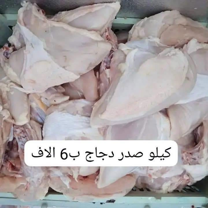 موجود فراسم ذبح.   كيلو ب6
موجود افخاذ كيلو ب6
موجود دجاجه كامله ذبح كيلو ب8
موجود اجنحه كيلو ب4
موجود صدر دجاج كيلو ب6
حواصل كيلو ب٣
كبد دجاج 3كيلوات ب10
ماعليك بس تدخل خاص وكلشي متوفر الطلب عليك والتجهيز علينه وتللون وتوصيل داخل الشطره الف 🥰


**إذا كنت صاحب هذا الإعلان وتريد حذفه لأي سبب، رجاءا أرسل رسالة إلى الدعم الفني**