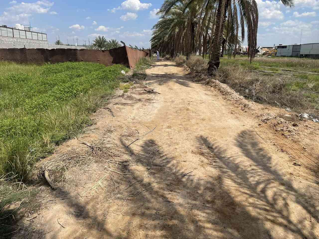 الف متر للبيع طابو 25 اقرار محكمه مع بيت مساحة البيت 200 متر يحتوي البيت على غرفتين وصاله واستقبال ومطبخ بناء بلوك صب مسلح كونكرت في كربلاء منطقة الزبيلية شارع ام البنين كافه الخدمات ماء وكهرباء منطقة سكنية /*********** /***********
