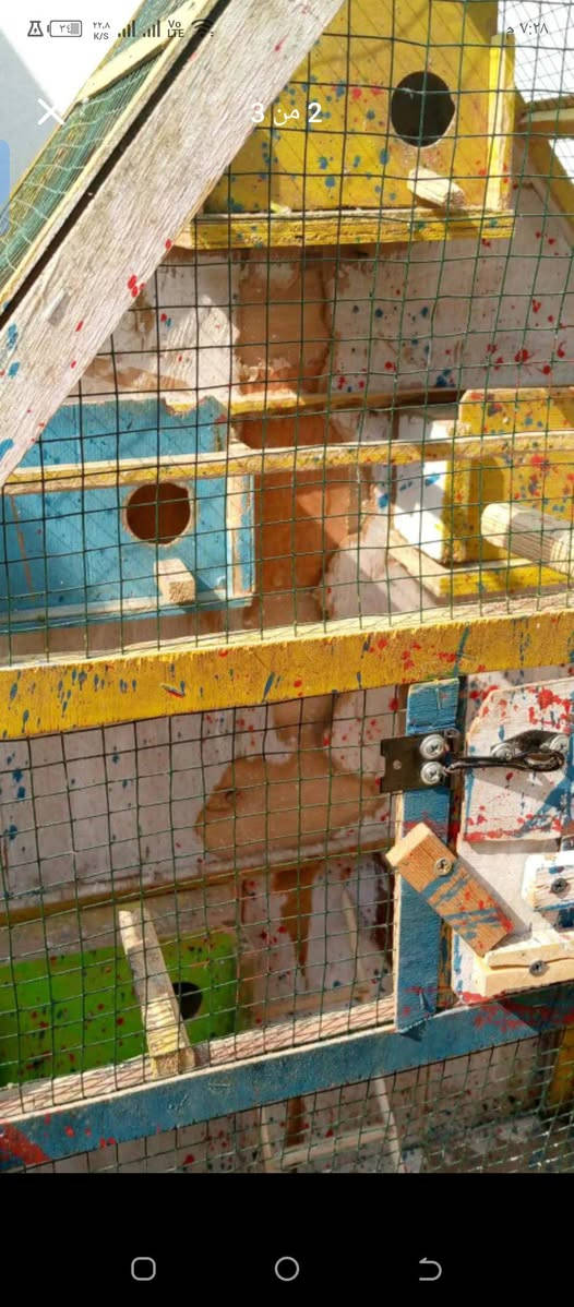 قفص للبيع 
سعر ٣٠ الف
***********
حي سومر
