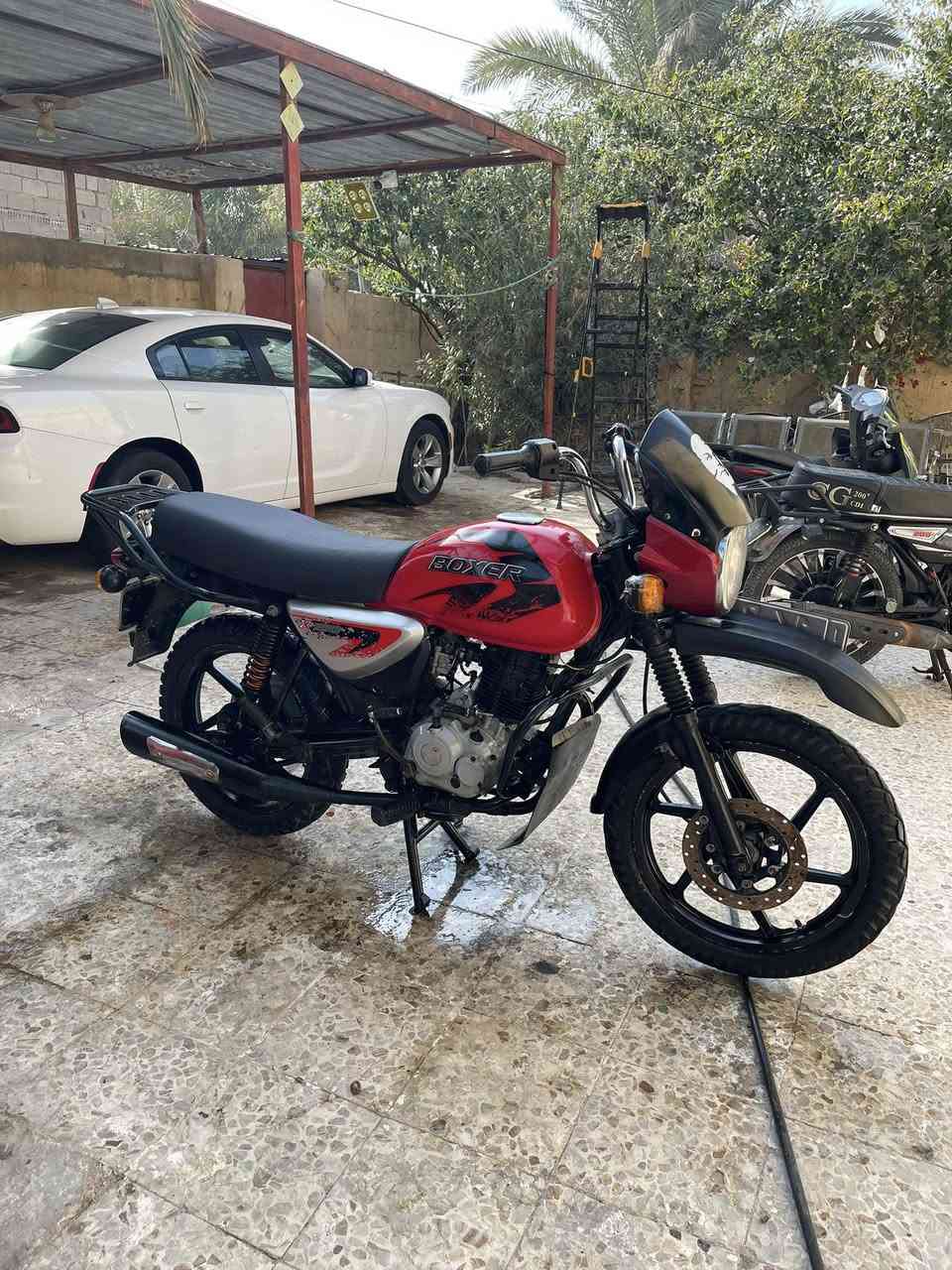 للبيع بوكسر فحل رقم وسنويه فحل موديل 2022 دراجه جاهزه ما عوزه اي شي تحويل ثاني يوم سعر 1800 وبيه مجال مكاني بصره كرمت علي رقمي ***********
