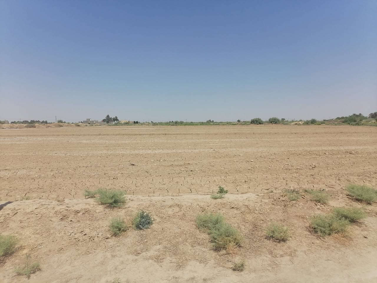 كاع البيع 20دونم يم جملون  بيه بيت جاهز
ماء متوفر بيه    حالين مزروعه سمسم
تصال عل رقم
 ***********
