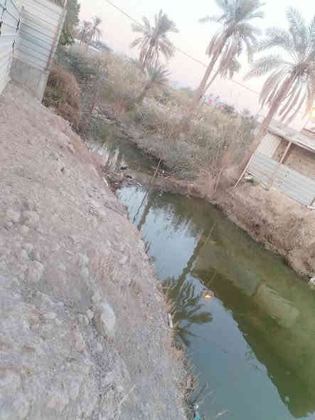 ✅بستان  مع بيت للبيع   دونم ✅👇🏻👇🏻
بيت طابقين بناء حديث طابوك
#مساحتها : ⚜️ ((2500)) ⚜️

#العنوان 👈🏻 :  البصرة ابي الخصيب سبيليات الغربيه شارع الوسطي
موقع ع نهر جاري وتبليط

#نوع العقار 📑  : طابو صرف  عراقي تحويل 
سعر 550 وبي مجال 
جيران ناس ذهب
استفسار ***********
