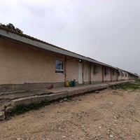 حقل دواجن • ٢ دونم • كركوك ناحية ليلان