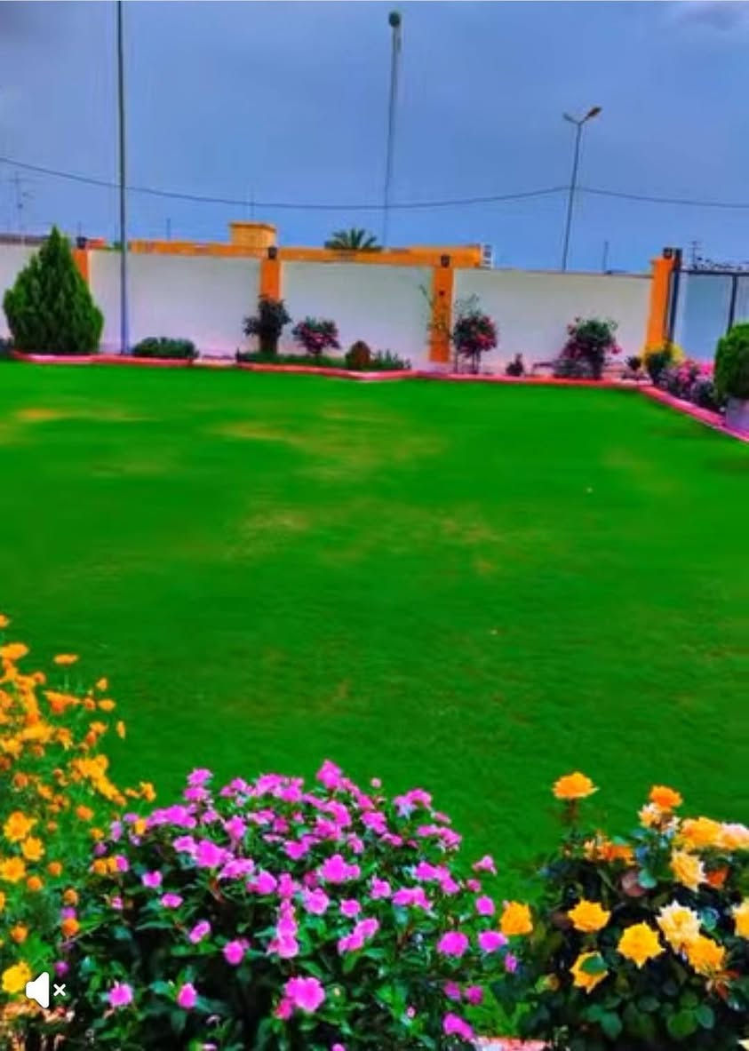 السلام عليكم اشتقل جميع الحدائق والبساتين  وتنظيف الحدائق من الدغل وتقليم الأشجار وزرع الشتل وقص الحدائق بل مكينه عل نمره وحدة وقص الأشجار الكبار  كادر متميز وسريع إتصل رقم الهاتف***********
