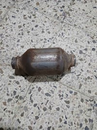 صالنصه • كورلا • نحله