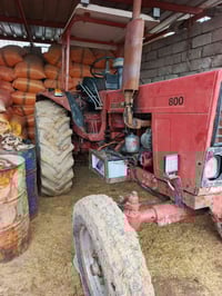 للبيع بلروز رقم وسنويه رقم الهاتف 07502774813