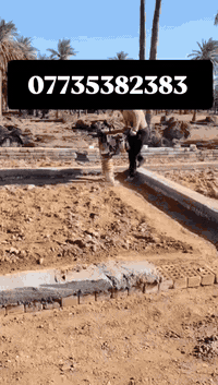 السلام عليكم 
يوجد حادلة قفاز(كنغر) حديثة للايجار مع الكادر 
للتواصل الاتصال على الرقم
***********
والعمل درجة اولى
(عملي في بيت الاخ احمد المرشدي)
