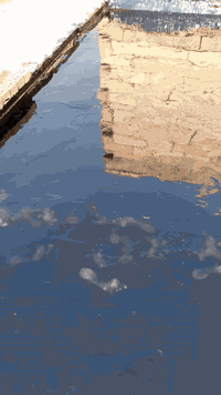 تكيير سطوح • شغل درجه • اسعار مناسبه