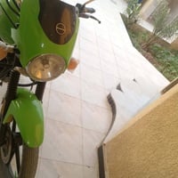 دايوان • ٢٠٢٢ • اوراق اصولي