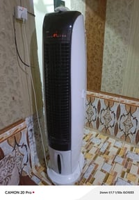 مبرده • شغاله • بصره