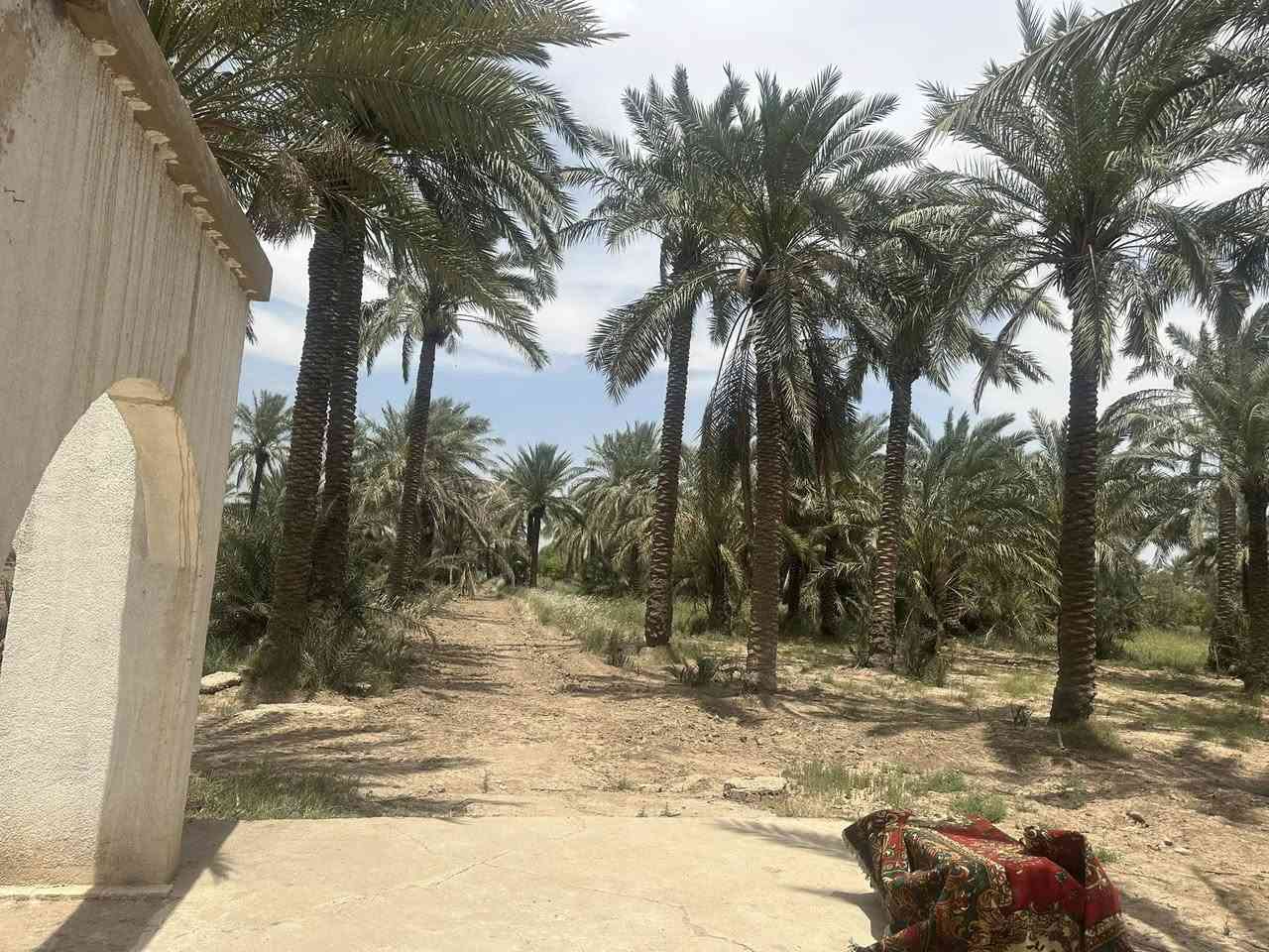 السلام عليكم مزرعه طابو صرف ٦ دونم للبيع منطقه الخناسه بفرع النائب كاظم عطيه    ***********
