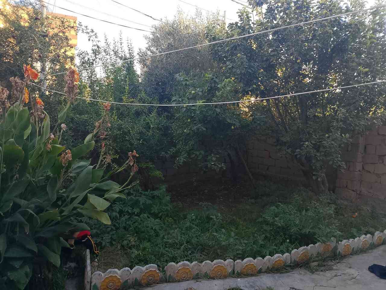 ياالله السعر بلاش بلاش 
السلام عليكم دار للبيع يعتبر قطعه السعر بلاش (95)  بيه مجال علمن سعر القطعه بنفس المكان 110 وأكثر بيت بناء قديم تكدر ترممه وتأجره حسب رغبة المشتري  طابو صرف تحويل مباشر مساحه 200 متر واجه 10 نزال 20 موقع الدار حله حي الغدير  ورديه قبل مستشفى الكفيل موقع مميز منطقه راقيه هادئة جداً بنسبه المنطقه السعر بلاش كافت الخدمات متوفره شارع عرضه 10 متر من يرغب بشراء الدار الاتصال علي الرقم تالي ***********
