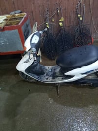 دراجة عصفورية • مكاني بغداد • قريب الشعب