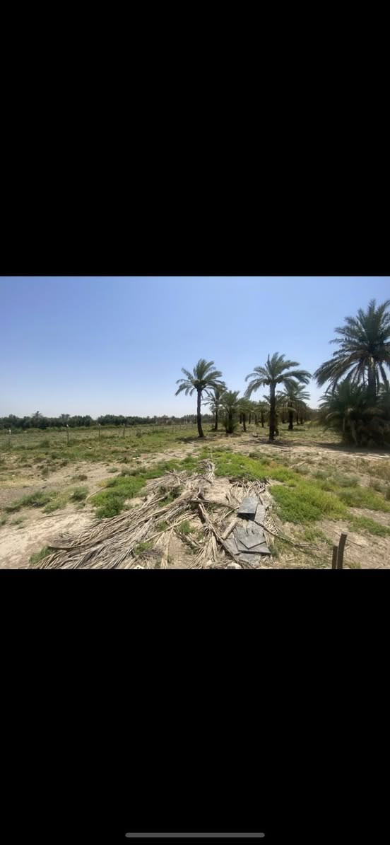 سلام عليكم 
مزرعه للبيع🌾 
المكان بغداد الطيفيه 📍
المساحه دونم ونص 200متر 
مسيج بيرسي واجه بلوك 
الوجه 23ونص 
النزال 188
صنف العقار طابو ملك صرف  
الرقم *********** ابو علي 
***********علي 
متواجد على لانترنت
