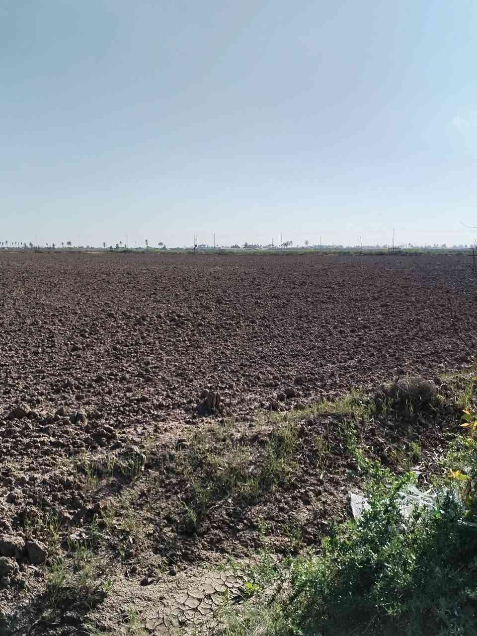 سلام عليكم ورحمة الله وبركاتة 80دونم للبيع عنوان بغداد الرضوانيه عله سريع الدولي قرب من حي الجهاد والمكاسب الشراي يتفضل خاص افهمه بل باقي ***********واتساب سعر الدونم 30وبي مجال
