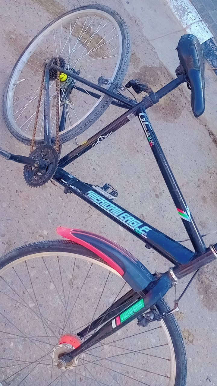 سلام عليكم باسكل للبيع جبلي السعر 40 وبيمجال الشراي يتصل ***********0 العنوان كربلاء  حي الغدير قرب حديقه الياسمين
