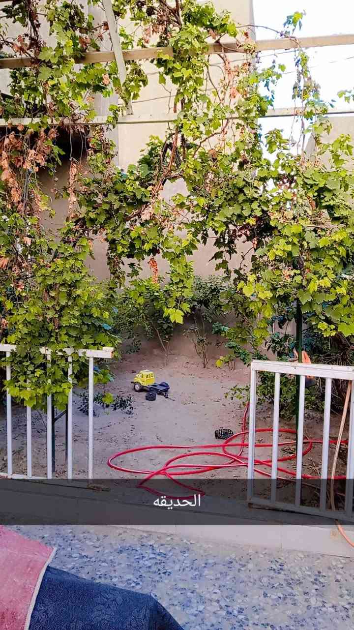 دار للبيع المساحه 180 متر بناء حديث للبيع او مراوس بدونم 

العنوان المعملجي / خلف كلية الصفوه / يبعد عن الحولي الجديد 25 متر تقريبا خدمات كامله 

للاستفسار 

***********/***********
