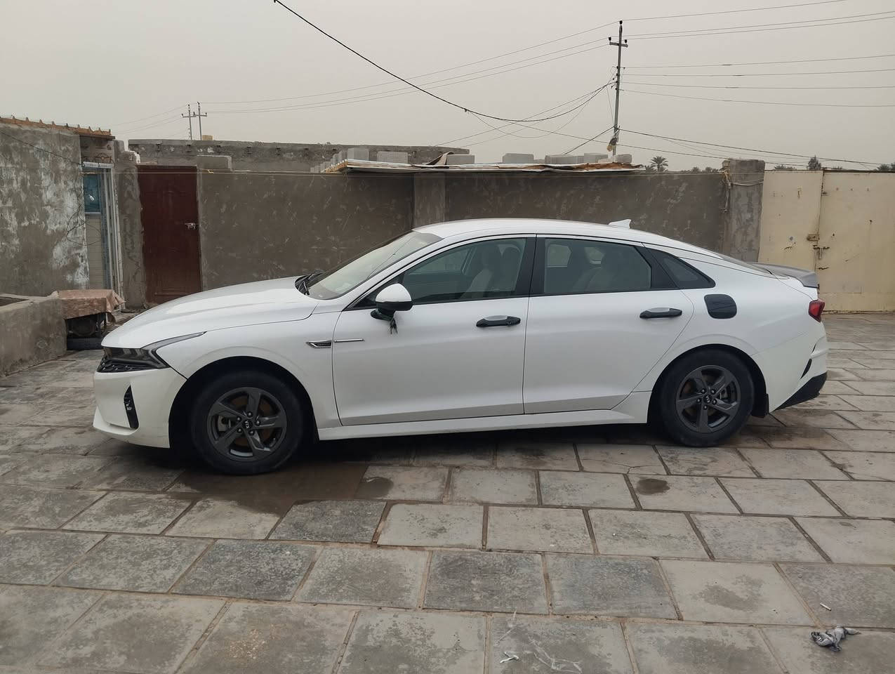 بيع مراوس كي 5معوقين 2021مكاني ديوانيه غماس ***********
