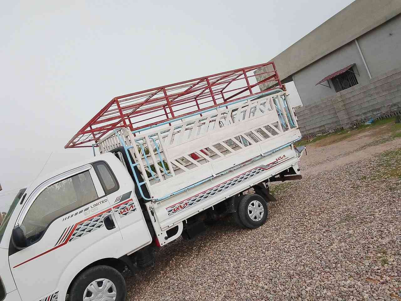 محجل بعيره للبيع
ويرهم مراوس بمحجل
2700 للاستفسار ***********
