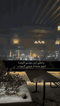 برنامج VIP VIP ذهاب طيران و العوده باصات VIP رجال أعمال كل هاذ 275 الف...