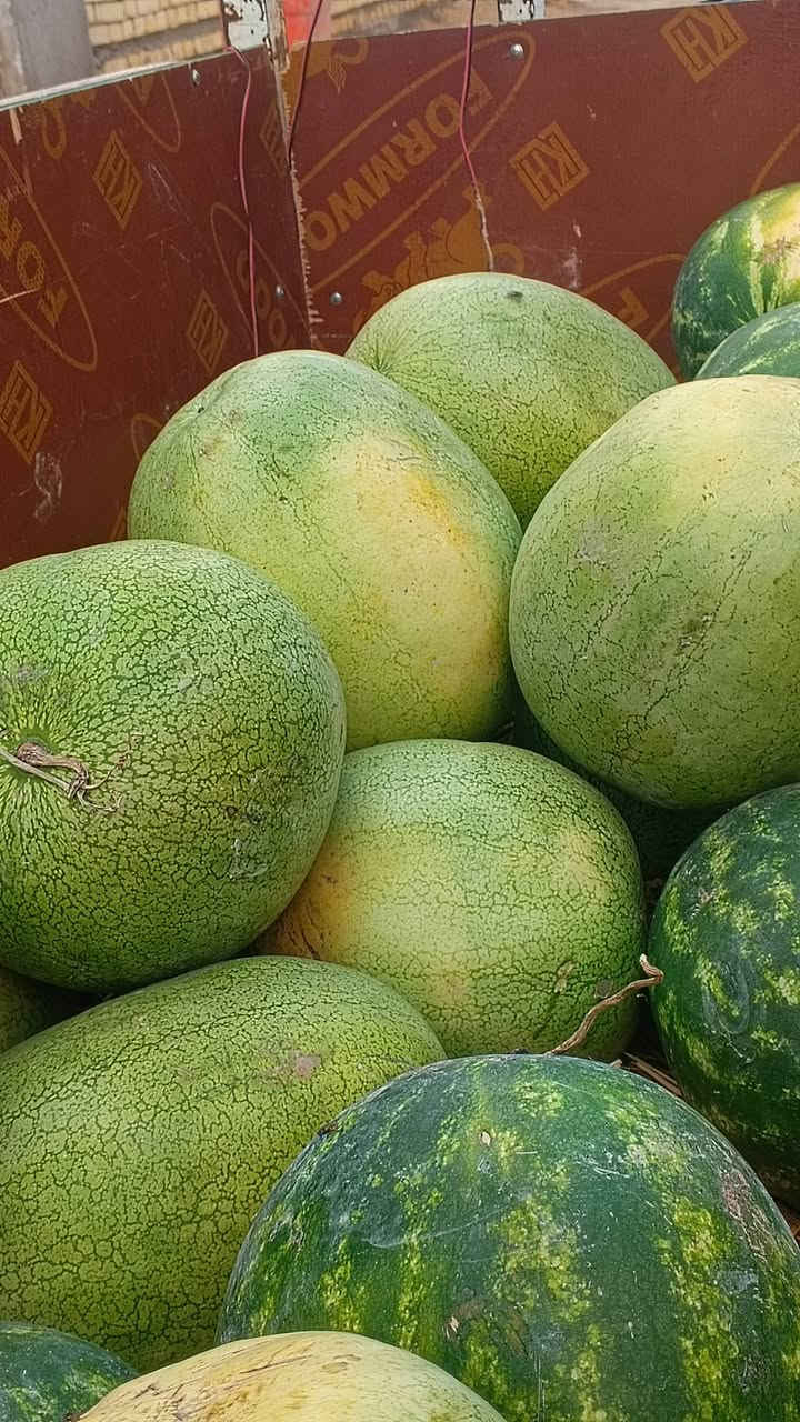 منو محتاج عامل ركي او محل قذاية يراسلني ***********
