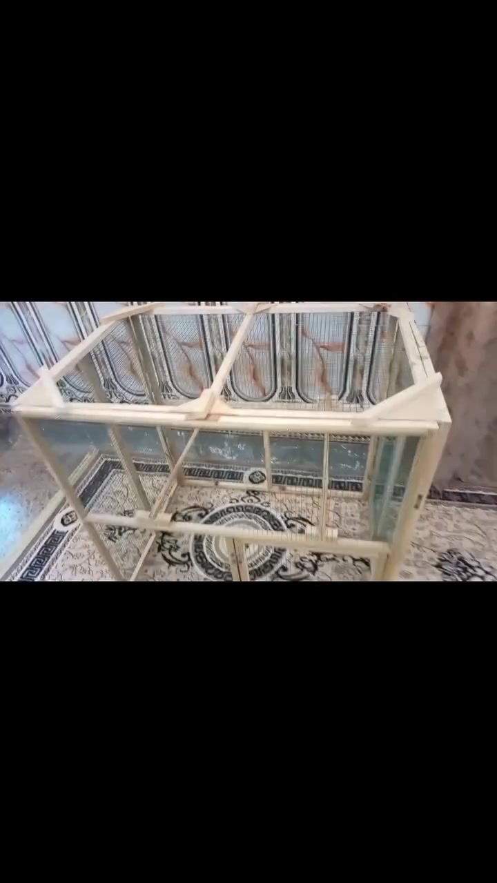 يا الله ✨
​🤩 متاح قفص او مسرح متنقل يتطبك ويصير حجمه صغير 📦
​📐 القياس:
​العرض 90 سم
​والارتفاع 90 ايضا
​والعمق او النزال 60 سم
​🚪 يحتوي على باب متوسط الحجم ومجاثم او ترايش ثنين متنقلات 🪵
​🛠️ شغله مرتب ونوع السيم مربع المغلون ✨
​🕊️ يصير لهواي طيور مثل الحمام او الياكريم والملكي والدجاج وكثر من الطيور 🐓
ب45 الف 
مكاني كوت زويريجات للتواصل خاص او الاتصال ***********
لا يوجد.حجز ولا توصيل
