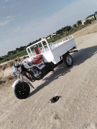 ستوته • موديل 2020 • أوراق أصلية