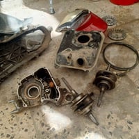 ثعلب • تفصيخ • الحريه