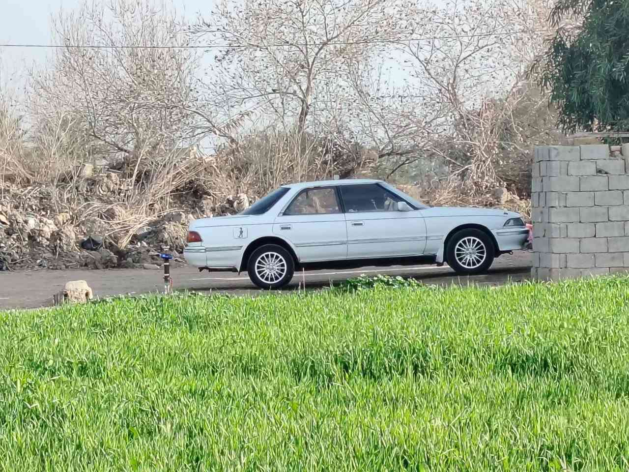 سلام عليكم مارك عظم للبيع سعر /46وبيه مجال حك الجيه /سياره فول نضافه سيره جاهزه مال جناي تبريد شغال شاشه مكينه ونجي ناعم حداديه ووياله وتيرات جدد رقم نكليزي بسمي مداور ثاني يوم /مكاني عباسيه موجود علفيس /رقمي ***********
