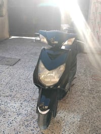 سكنس فحل مروس حسب قناعه  وبيع ٦٠٠👍 ٠٧٧١٧١٠٧٨٥٦