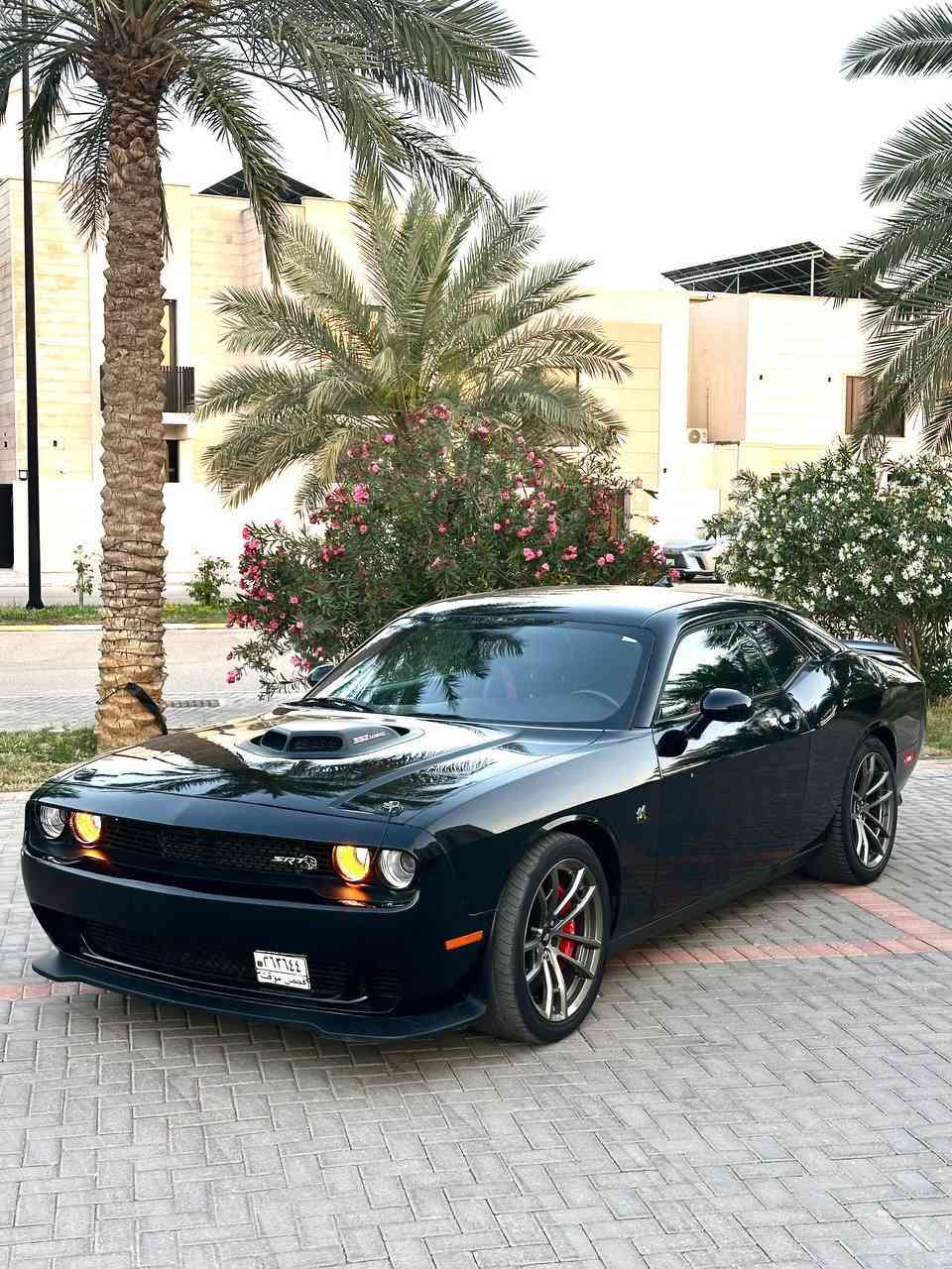 للبيع جالنجر 2023 shaker SRT✅
إصدار Last Call النسخة الخاصة

سعرها ادخل ع رابط https://t.me/carssofiraq/16171

🔥 للبيع بسعر مميز: وحش العضلات الأمريكية Challenger Shaker SRT 🔥
((ملاحظة: البيع كاش فقط، لا نقبل البدل والمراوس))
لعشاق الفخامة والأداء الرياضي، نضع بين أيديكم سيارة Dodge Challenger Shaker (إصدار Last Call)، النسخة الخاصة والمحدودة (واحدة من 500 قطعة حول العالم). سيارة نادرة بتصميم استثنائي، بحالة المصنع، ولم يتم التعديل على محركها أو ميكانيكها نهائياً.
━━━━━━━━━━━━━
📋 المواصفات الأساسية:
 سنة الصنع: 2023
 الإصدار: Last Call - Shaker SRT
 الممشى: 18,000 ميل فقط
 المحرك: 6.4L V8 القوي
 ناقل الحركة: أوتوماتيك
 اللون: أسود ملكي
━━━━━━━━━━━━━
✨ المميزات والكماليات:
 التكنولوجيا: تشغيل عن بعد، بصمة، شاشة معلومات ضخمة، دعم Apple CarPlay.
 الراحة: مقاعد جلد/ألكنتارا فاخرة بشعار Shaker، تحكم كهربائي بالمقاعد مع ميموري، نظام تبريد وتدفئة للمقاعد.
 الأمان: نظام التحذير من النقاط العمياء، كاميرا خلفية.
 إضافات حصرية: نظام صوتي Alpine احترافي، مرايا حرارية.
━━━━━━━━━━━━━
🚀 تزويدات SRT الأصلية:
 مكابح (بريكات) Brembo الرياضية (6 بستم).
 نظام عادم وشوته رياضي.
 داخلية كاربون فايبر حقيقي.
 عدادات سرعة بتصميم Shaker المميز.
 مساعدات (دبلات) صفراء SRT.
━━━━━━━━━━━━━
🛠 حالة السيارة (الشفافية أولويتنا):
 الاستيراد: أمريكي.
 الحادث: جاملغ أمامي يمين + جاملغ خلفي يسار (تم الإصلاح بدون تبديل أو قص).
 السلامة: الإيرباكات سليمة (Company).
 الصبغ: السيارة صبغ عام (مرفق تقرير "كلير" الأمريكي).
━━━━━━━━━━━━━
📍 المكان: كربلاء
📲 للاستفسار والتواصل: ***********
.
.

🚗اعرض سيارتك ع اقوى قناة تلكرام و واتساب و صفحتي فيسبوك للبيع و شراء سيارات ادخل ع رابط 👈 https://t.me/carssofiraq
