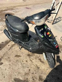 هندر • سلف • شغالة