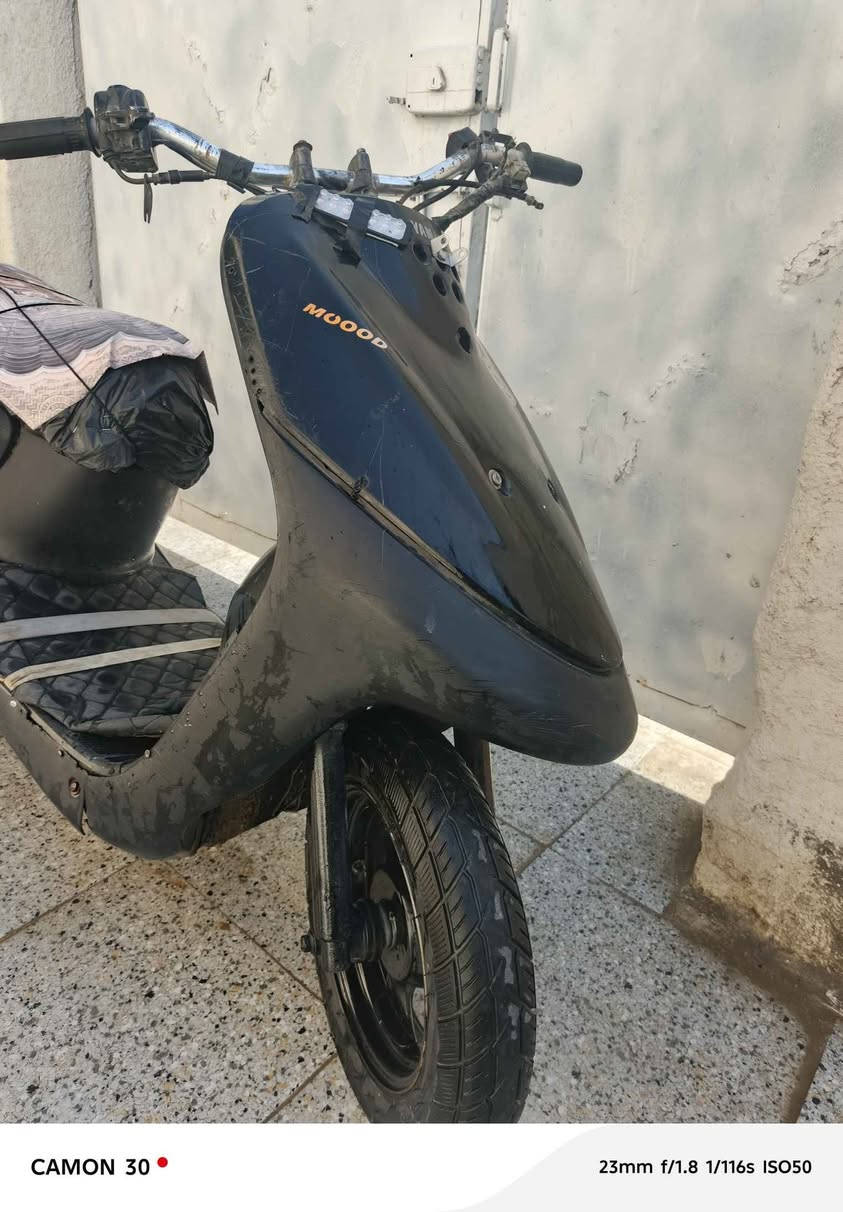 سلام عليكم
دراجه منغولي نظيفه للبيع او المراوس
 بريك وكهربائيات شغاله
هورن+شلعه حلوه +سلف شغال عوزه شخاطه
السعر155 وببها مجال للكروه
ناصريه مركز قرب مستشفى القلب
*********** الشطره, ذي قار
