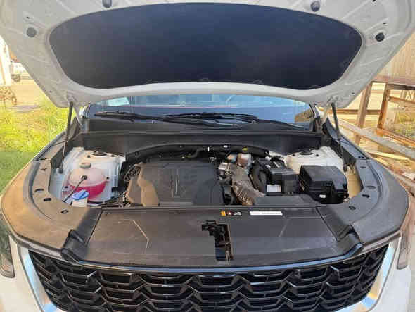 سلام عليكم سورنتو 2025
ماشيه 9500 زيرو على إيدي 

ويل 20 داتا شو 

رقم أربيل  

مكفوله كفاله عامه من زلق ضمان الدوليه 

6 سلندر 7 راكب 3 قطع تبريد/ شاشه كبيره / شاشه متصل 

كير موس / سايد ابريك بصمه 

كشنات كهرباء / جنطه كهرباء 

حساسات إماميه / حساسات خلفيه 

شاحن وايرلس /قماره حديد 

برد أبواب خلفيه / تحكم استرين / مثبت سرعه 

تشغيل عن بعد /  Drive mode

بصمه عدد 2
 

سياره جاهزه الف ماتصرف عليه  

السعر 345 وبيها مجال قليل 
*********** متواجد وتساب
